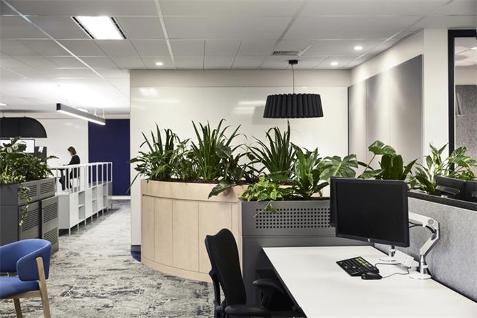 澳大利亚投资公司温馨感办公室设计