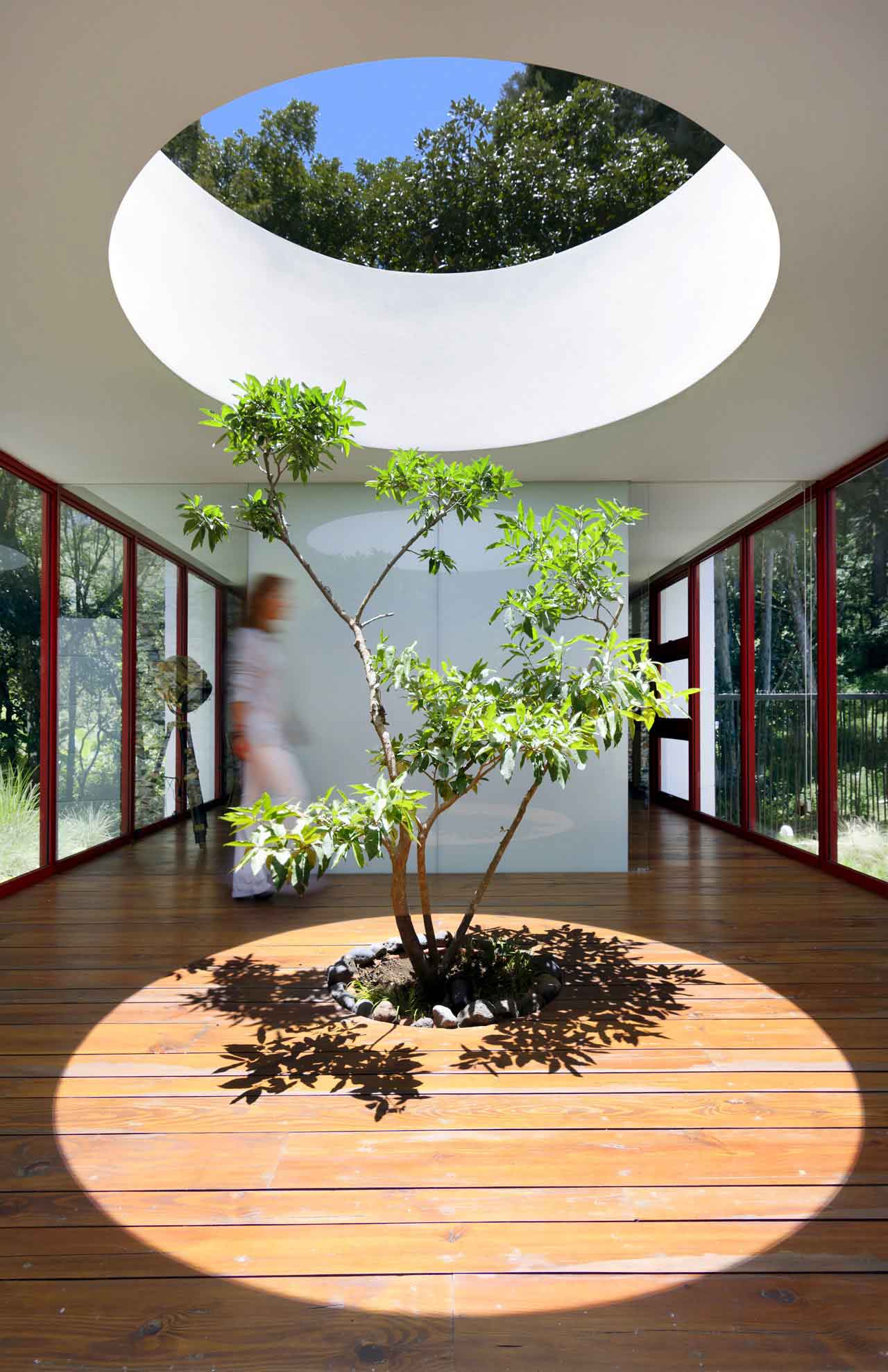 室内的树，设计元素，绿植，特辑