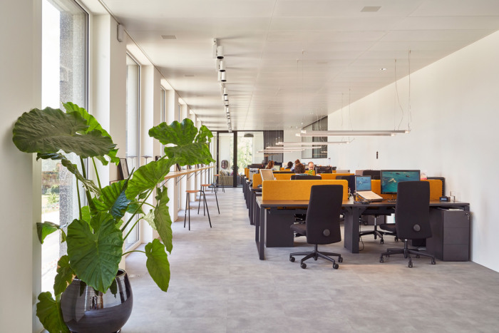 办公空间，国外办公设计，瑞士日内瓦，DLG办公室，现代风格，奢侈品集团