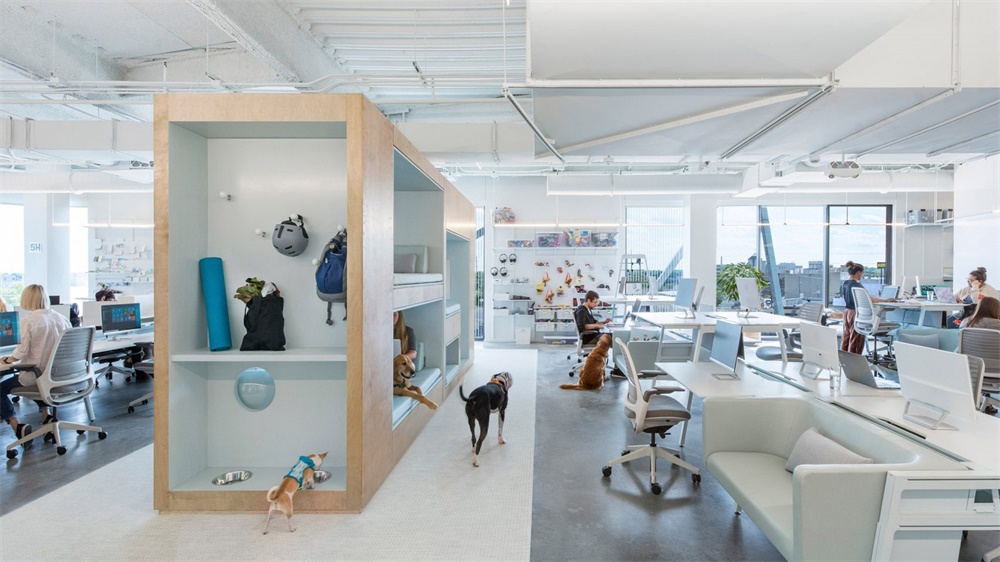 办公空间，宠物公司办公室，哥伦布，国外办公空间设计，办公室设计