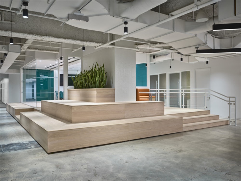 办公空间，软件公司办公室，国外办公室设计，Design Republic，纽约，现代风格