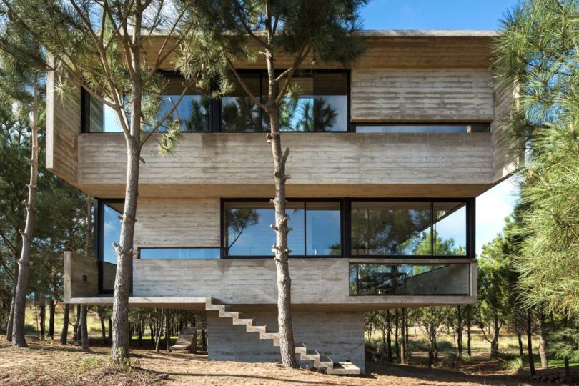 阿根廷，住宅设计，树屋，私人住宅设计，建筑设计，Luciano Kruk
