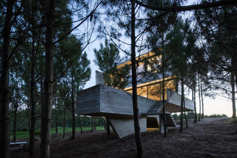 阿根廷，住宅设计，树屋，私人住宅设计，建筑设计，Luciano Kruk