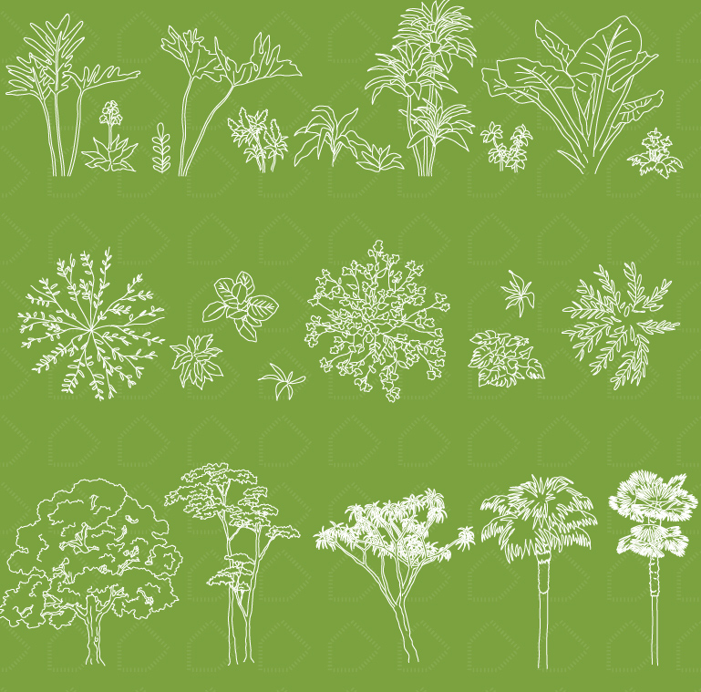 创意植物矢量图集,创意植物线稿,矢量图集,植物矢量图集,设计师的灵感,让设计更有趣,CAD植物图块,CAD植物图块下载,设计师必备创意素材