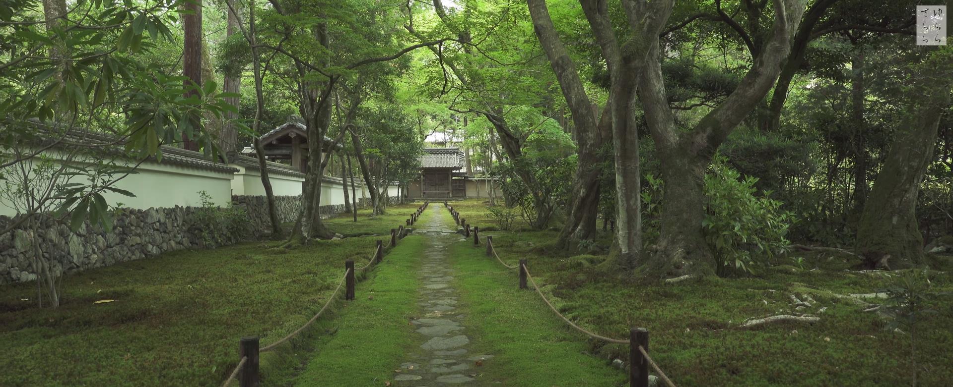 Wabi-Sabi-侘寂庭院,侘寂庭院,西芳寺,侘寂设计,禅院,枯山水,苔寺,MOSS TEMPLE SAIHOU,JI KOKE,侘寂视频下载,日式侘寂庭院