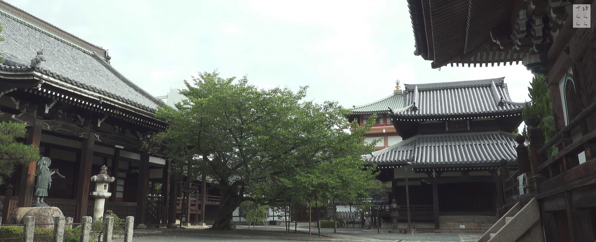 Wabi-Sabi-侘寂庭院,侘寂庭院,本法寺,侘寂设计,禅院,枯山水,苔寺,APANESE GARDEN,HONPO-JI,侘寂视频下载,日式侘寂庭院