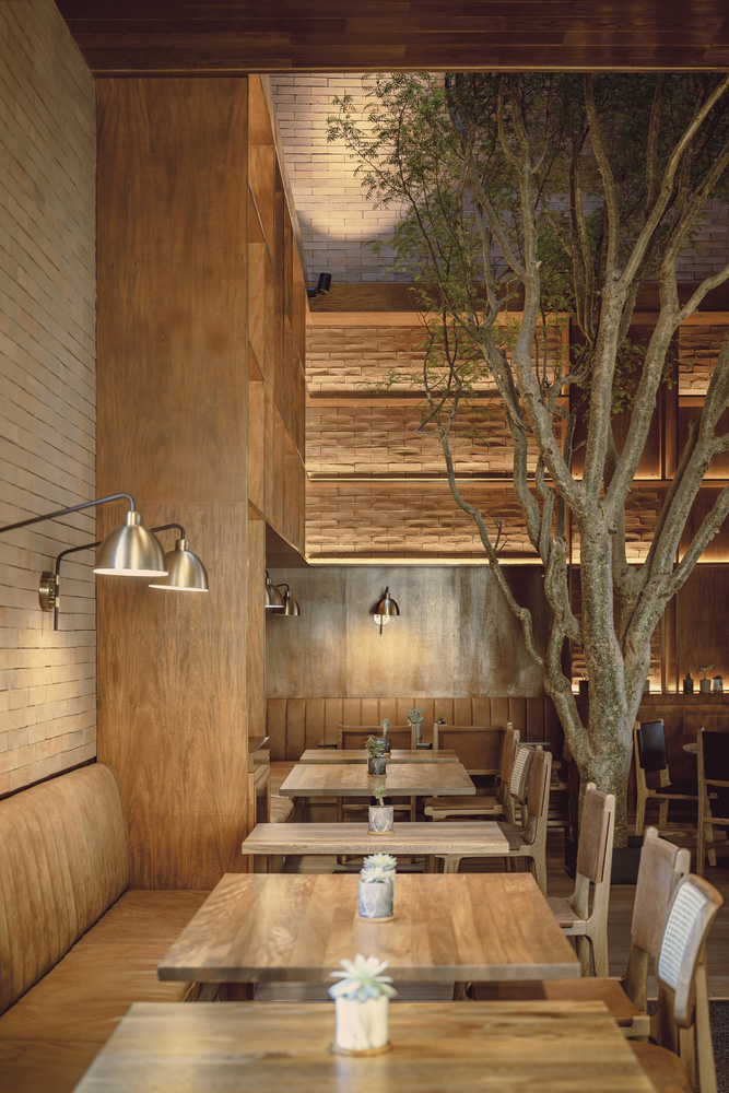 餐厅设计,0studio Arquitectura,休闲餐厅设计,Sal de Jade Restaurant; Spence,现代风格餐厅设计案例,510㎡,墨西哥