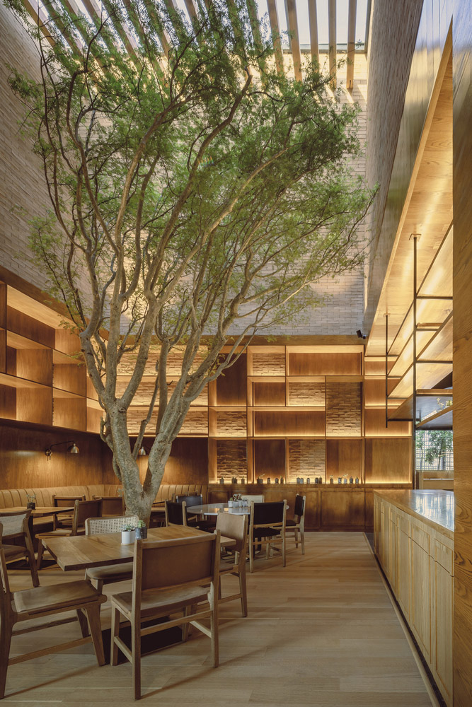 餐厅设计,0studio Arquitectura,休闲餐厅设计,Sal de Jade Restaurant; Spence,现代风格餐厅设计案例,510㎡,墨西哥