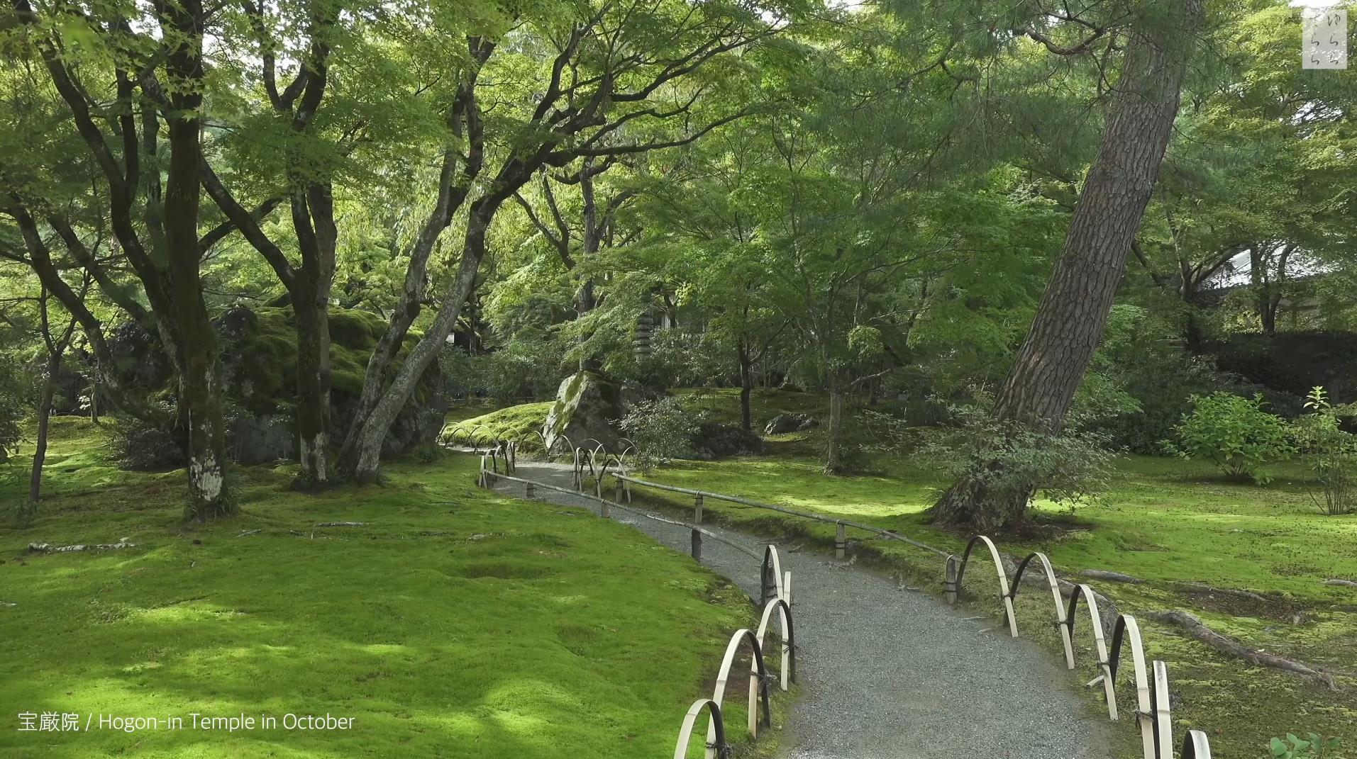 Wabi-Sabi-侘寂庭院,侘寂庭院,京都,侘寂设计,侘寂视频下载,日式侘寂庭院
