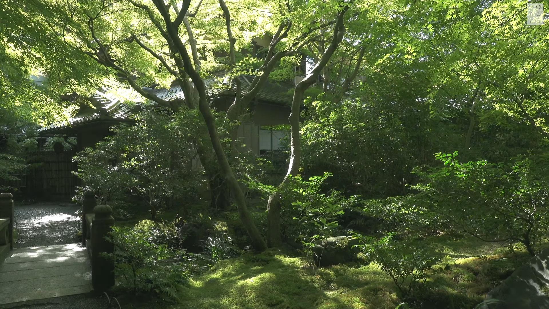 Wabi-Sabi-侘寂庭院,侘寂庭院,京都,侘寂设计,侘寂视频下载,日式侘寂庭院,瑠璃光院