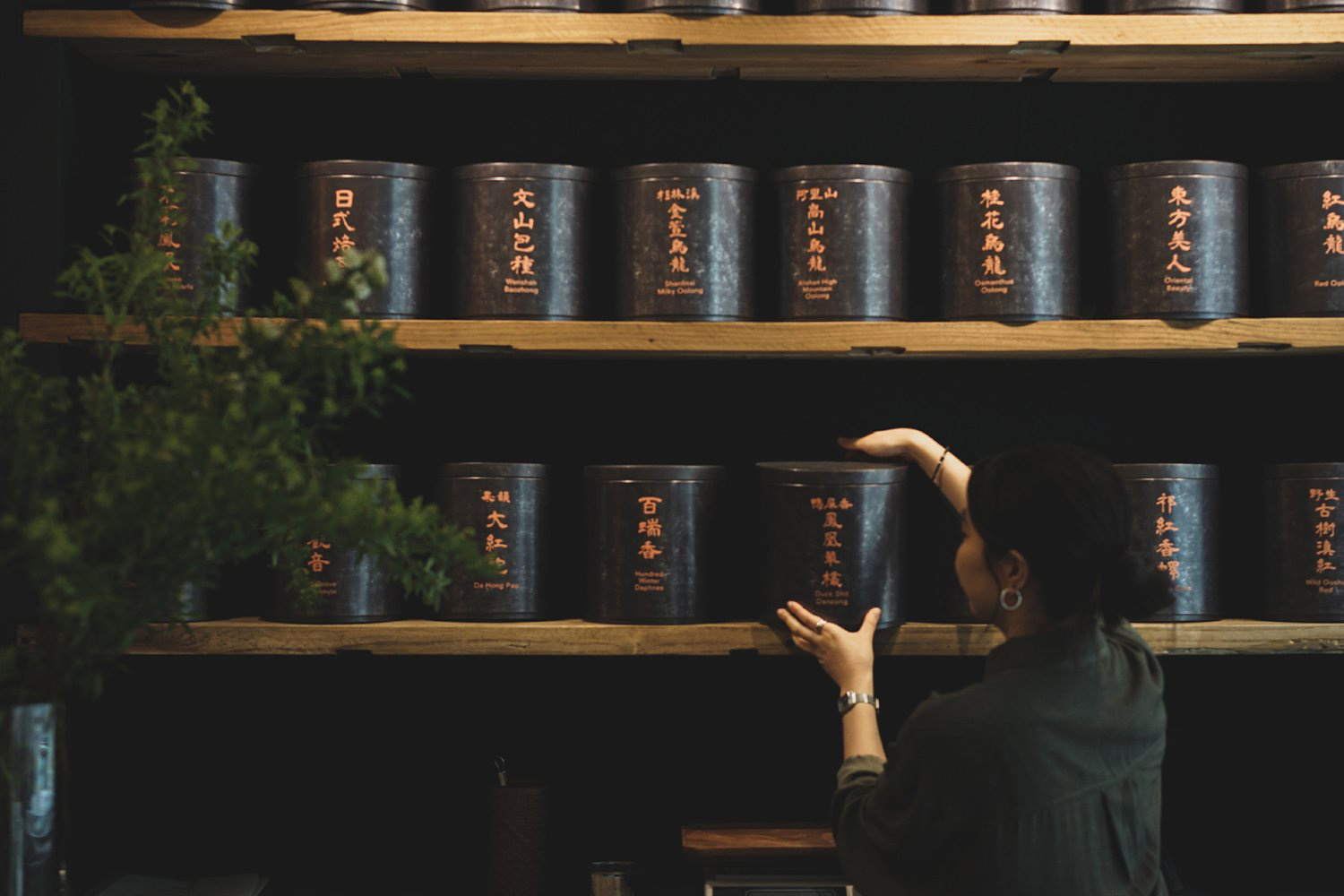 茶饮店设计,茶饮店设计案例,茶饮店设计方案,Nana Chan,休闲茶饮店设计,香港,石塘咀,Plantation Tea Bar,东方茶文化
