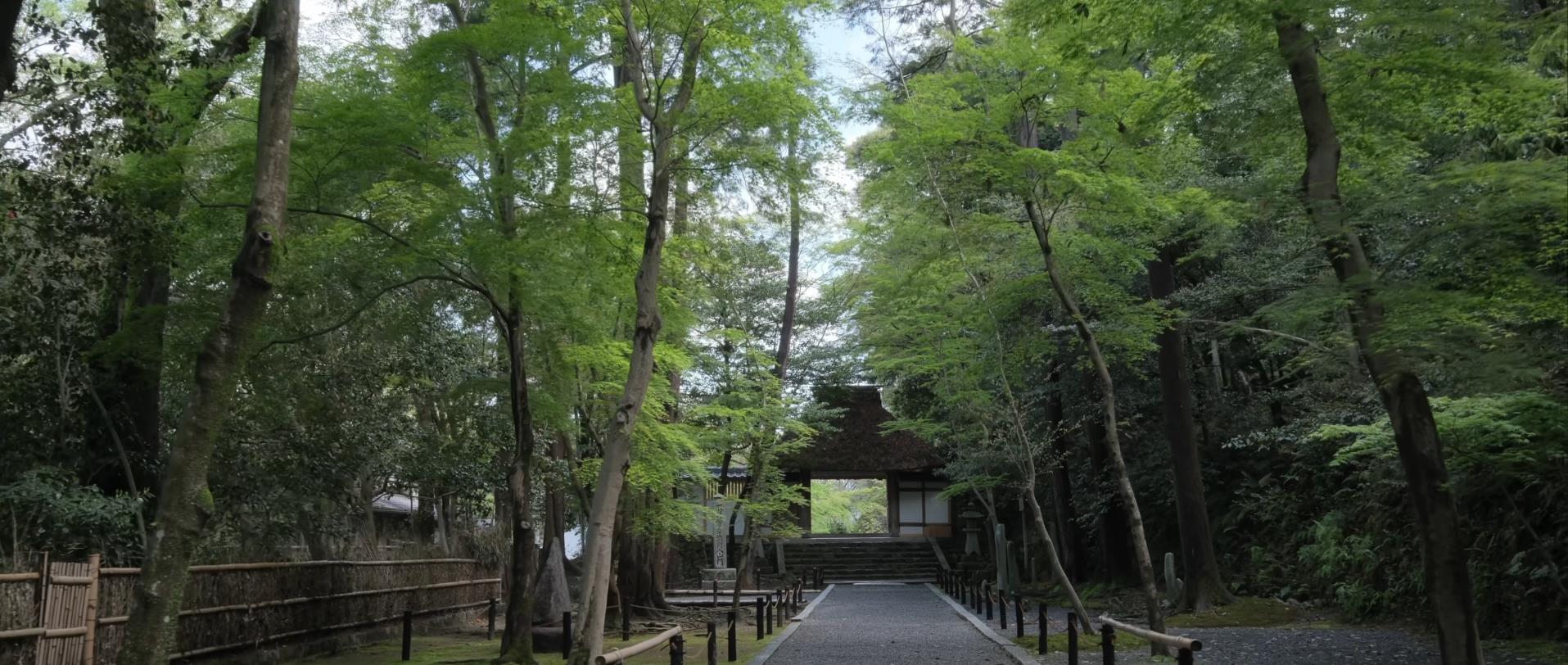 Wabi-Sabi-侘寂庭院,侘寂庭院,京都,侘寂设计,侘寂视频下载,日式侘寂庭院