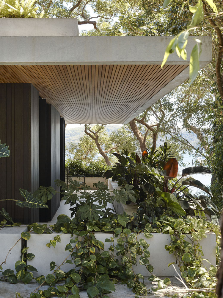 Rama Architects,别墅设计案例,别墅设计方案,开放式别墅,澳大利亚,海景别墅,景观别墅,原木色,下沉式客厅
