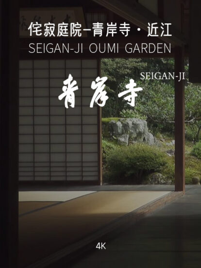 [4K]近江·青岸寺 SEIGAN-JI  OUMI-日式侘寂庭院