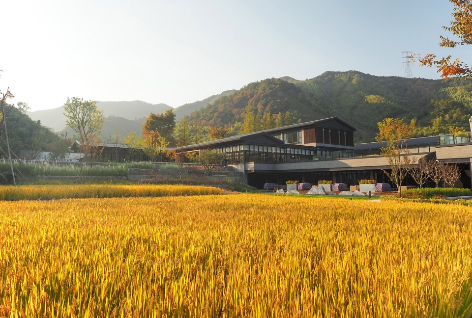 酒店设计,酒店设计案例,度假酒店设计,酒店改造,设计酒店,湖州酒店设计,湖州度假酒店,安吉柏翠姚良度假酒店,柏翠姚良度假酒店,安吉度假酒店,秉仁建筑师事务所,秉仁建筑,彼印建筑设计,彼印建筑
