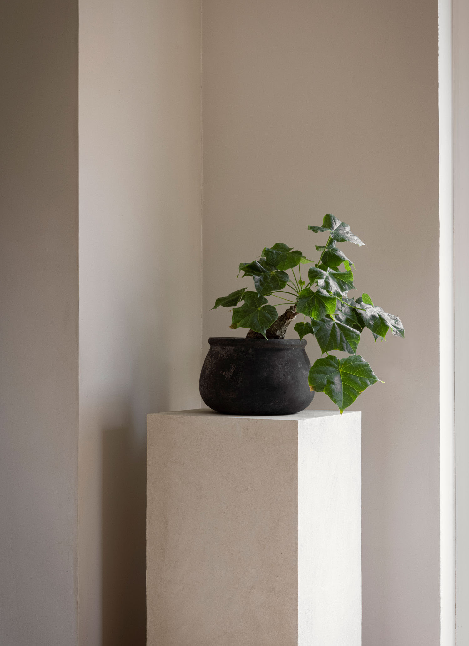 Norm Architects,住宅设计,别墅设计案例,别墅设计方案,丹麦,设计师自宅,极简风格,别墅改造,极简主义