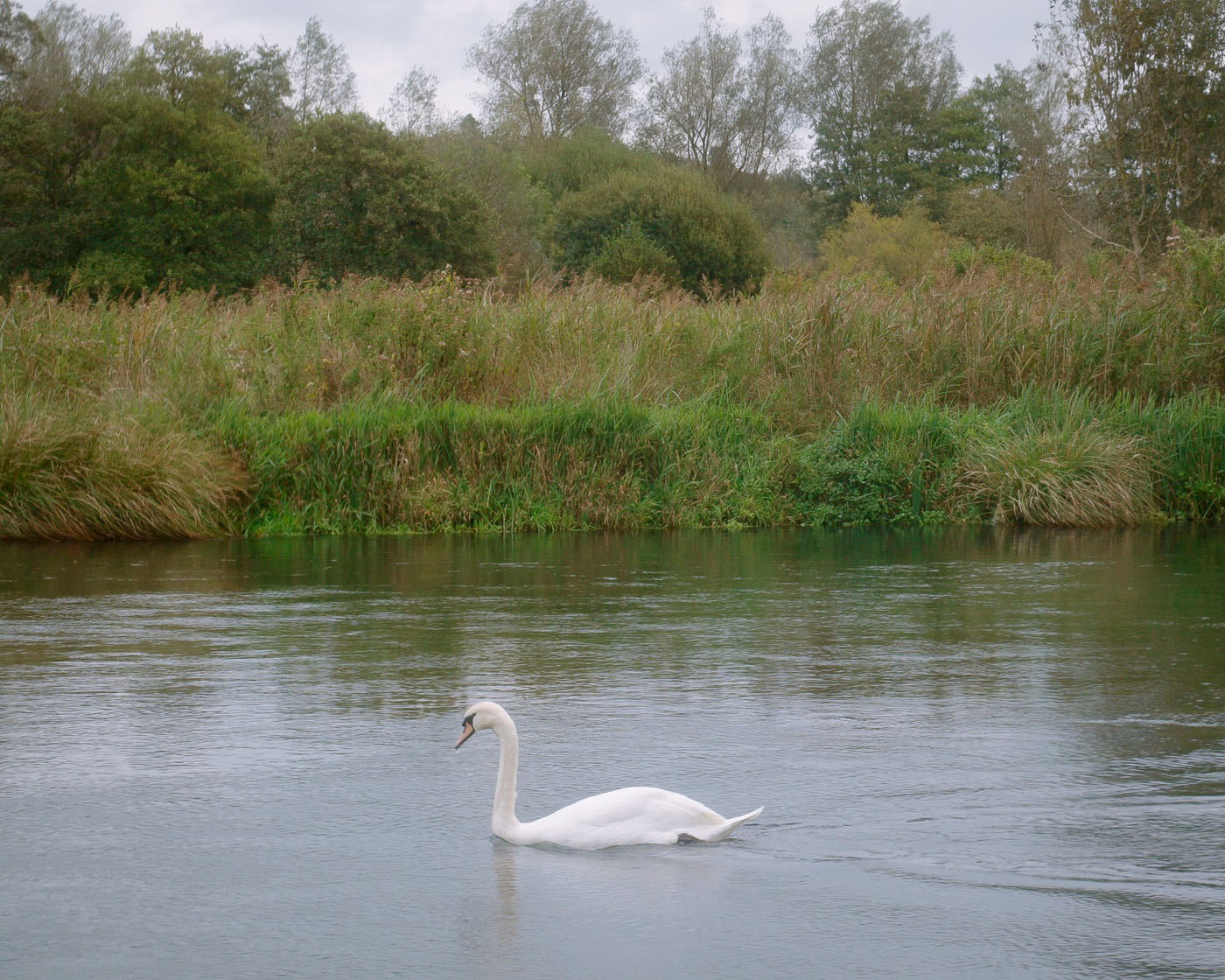Oliver Leech Architects,别墅设计案例,别墅设计方案,乡村别墅,英国,景观别墅