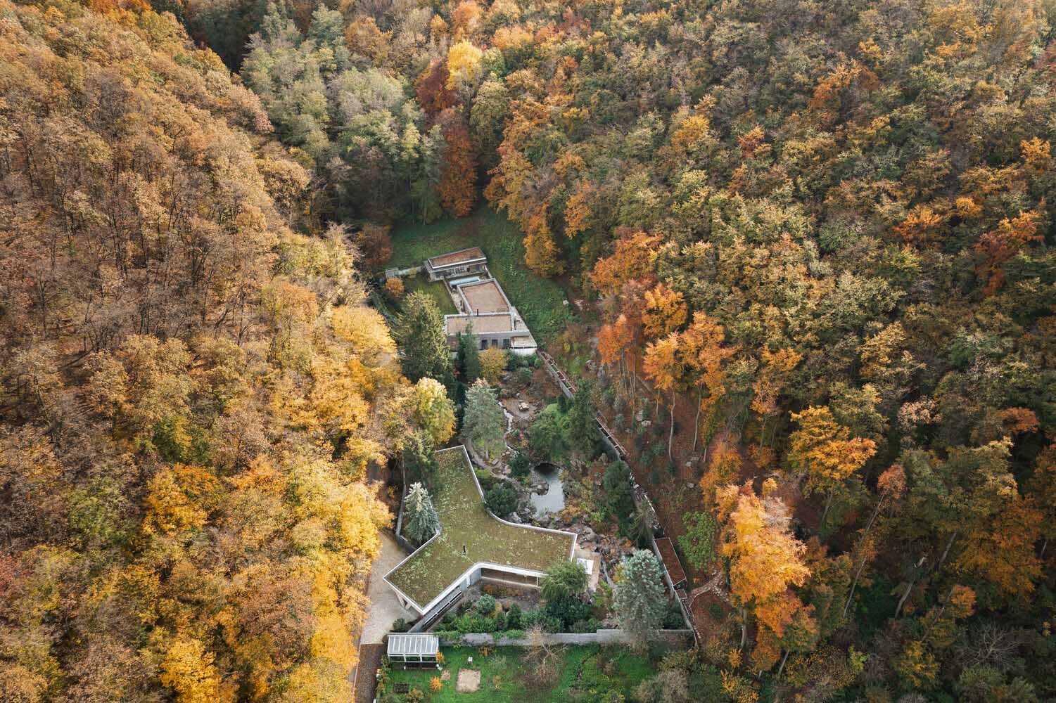 Pauliny Hovorka Architekti,别墅设计案例,别墅设计方案,极简主义别墅,平层别墅,极简风格,野兽派