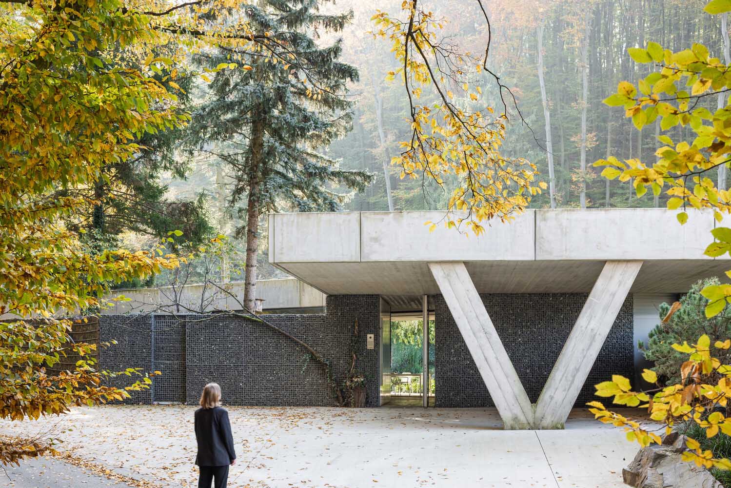 Pauliny Hovorka Architekti,别墅设计案例,别墅设计方案,极简主义别墅,平层别墅,极简风格,野兽派