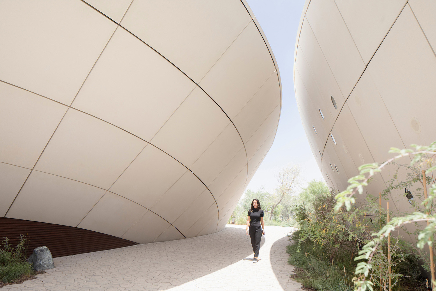 aoe 事建组,STUDIOI,体验中心设计,阿联酋,建筑设计,Ghaf Woods,迪拜