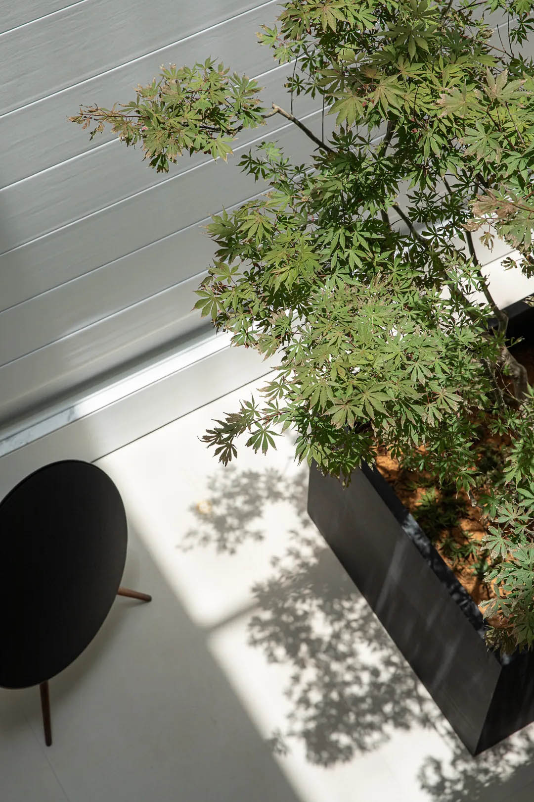 500㎡别墅设计,500㎡,别墅设计案例,别墅设计方案,别墅装修,现代风格别墅设计,别墅装修,极简别墅,台州极简别墅-自然之息,台州,倾城国际设计/杨巍巍