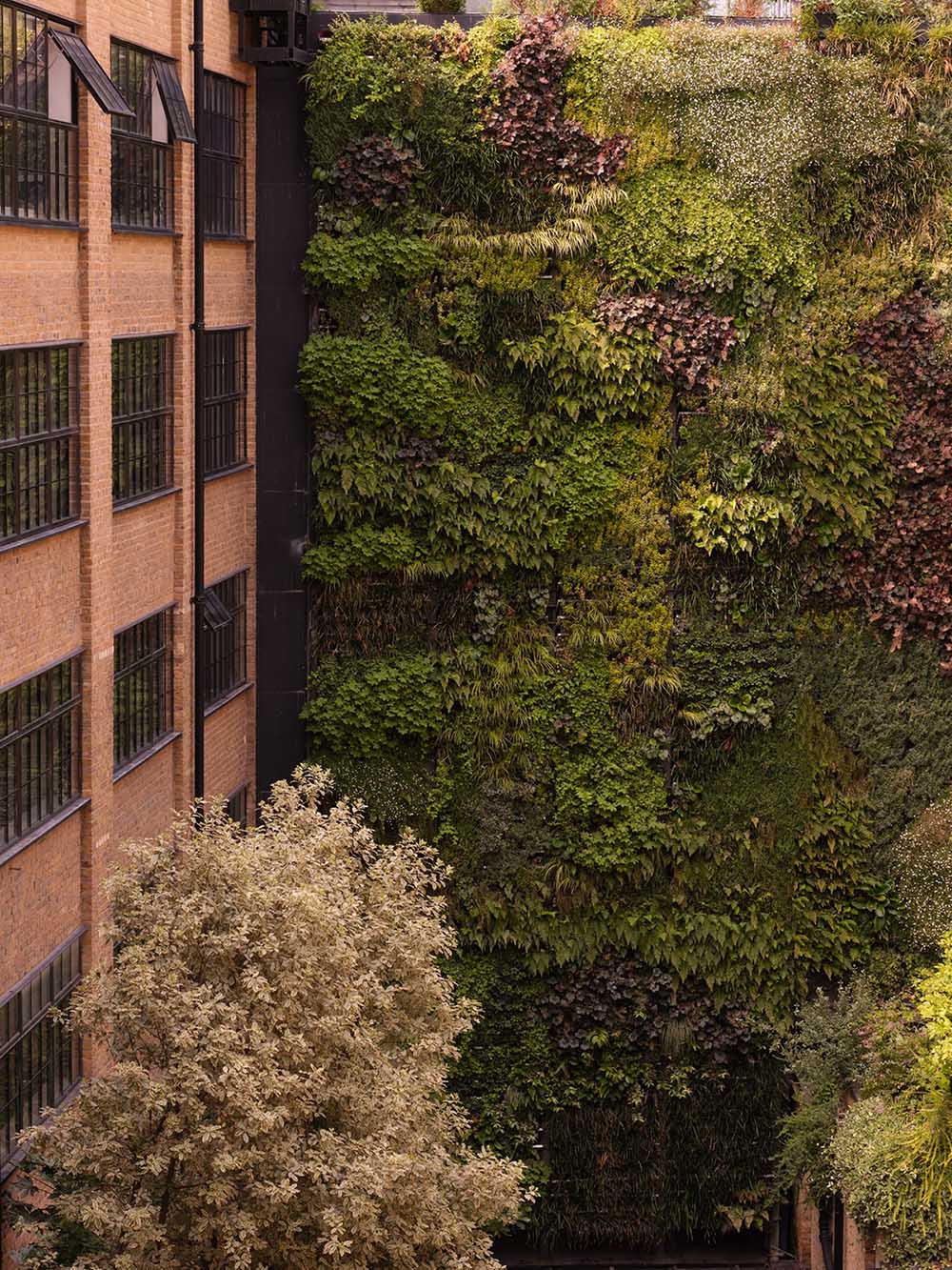 Daytrip,办公室设计案例,办公室设计方案,伦敦,建筑改造,瑞典,办公室设计