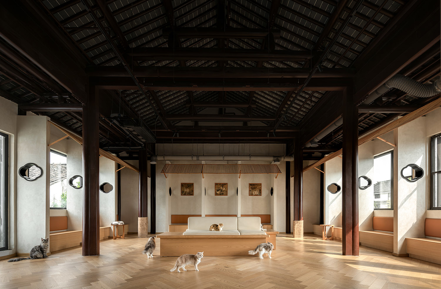 宠物店设计,宠物零售空间,人宠空间设计,商店设计,宠物店设计案例,宠物店设计方案,宠物店装修,苏州平江老街上的萌宠空间,平介设计,杨楠