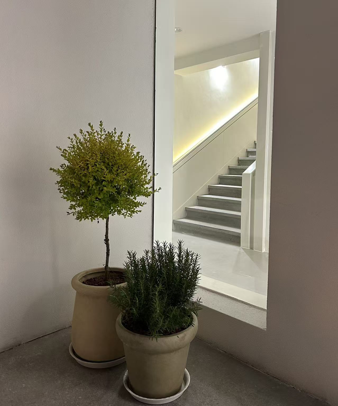 服装店设计,服装店设计案例,零售店设计,时装店设计,服装店设计方案,女装店设计,女装店,街边服装店设计,青岛金和百瑞GOLDENBARRY麦岛直营店,青岛,UD-lab设计