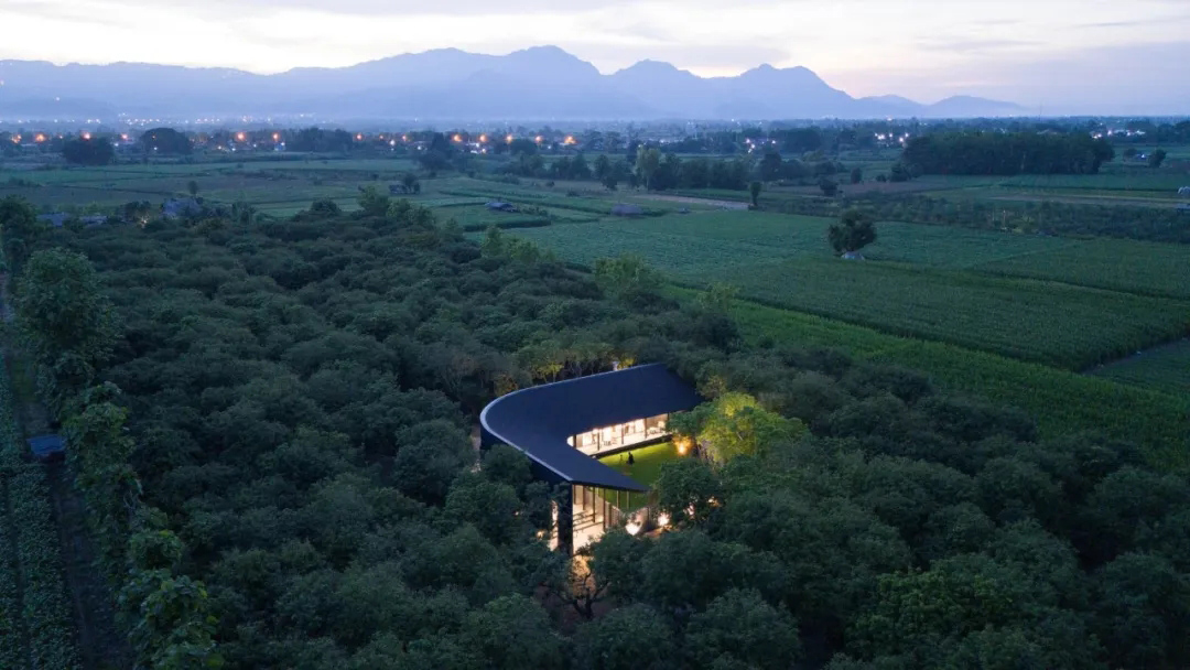 BodinChapa Architects,咖啡厅设计,泰国,咖啡厅设计案例,咖啡厅设计方案,极简主义,极简风格,MADA Coffee Shop