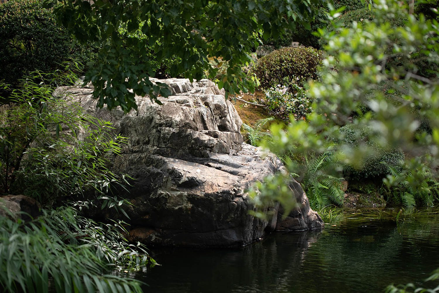 景观庭院设计,景观设计,植物景观销售基地,植物景观庭院设计,花园庭院设计,老建筑改造,佛山宋屿庭园,佛山,陆启水建筑师事务所