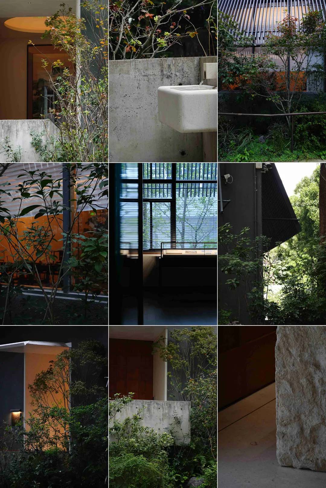 酒窖设计,建筑改造,景观设计,深圳国王酒窖茅台鉴藏馆,深圳,国王酒窖,茅台鉴藏馆,茅台酒窖,BloomDesign绽放设计