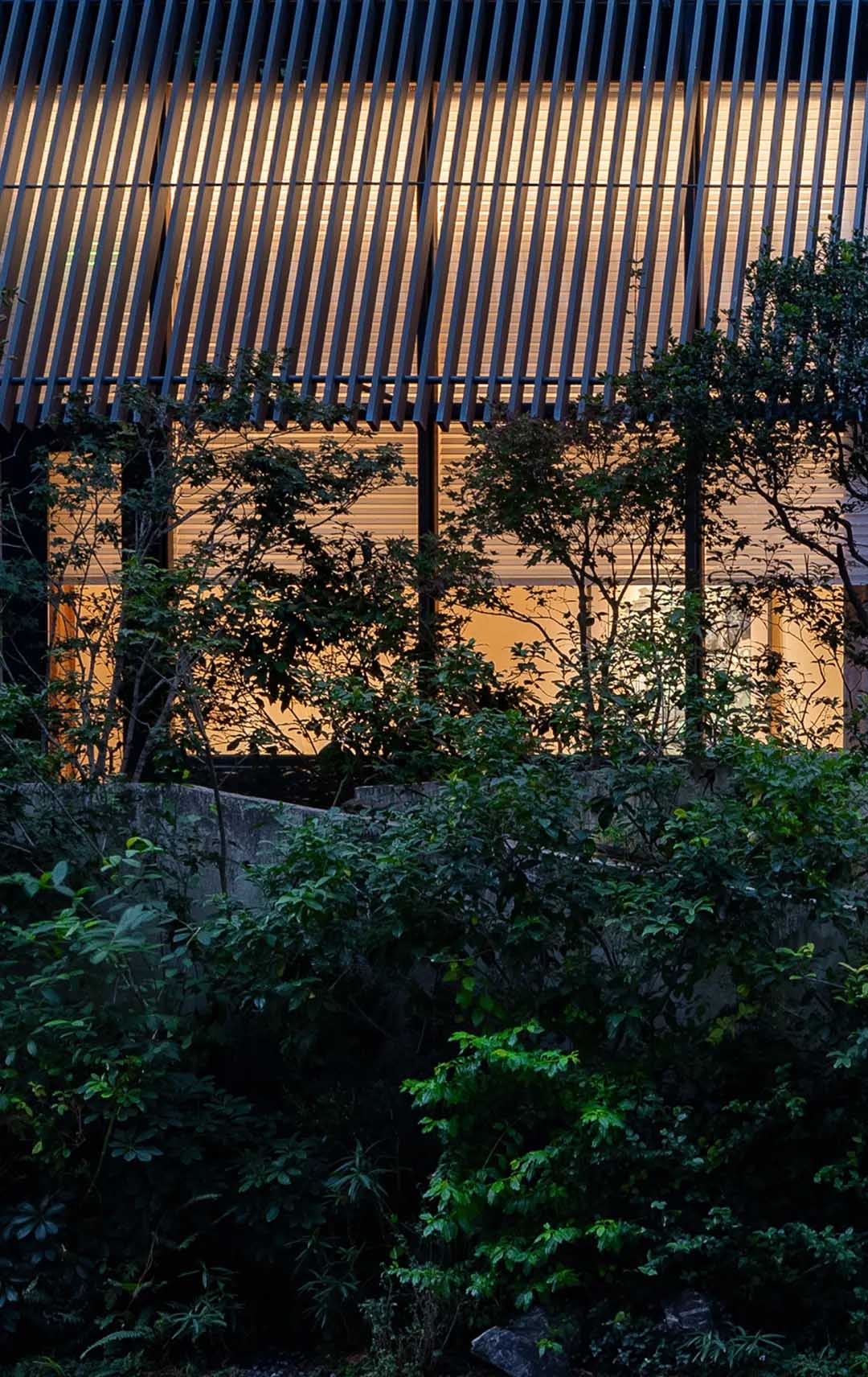 酒窖设计,建筑改造,景观设计,深圳国王酒窖茅台鉴藏馆,深圳,国王酒窖,茅台鉴藏馆,茅台酒窖,BloomDesign绽放设计