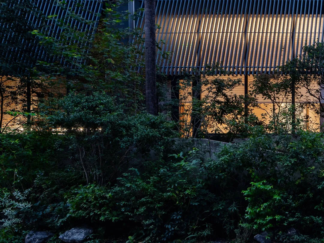 酒窖设计,建筑改造,景观设计,深圳国王酒窖茅台鉴藏馆,深圳,国王酒窖,茅台鉴藏馆,茅台酒窖,BloomDesign绽放设计