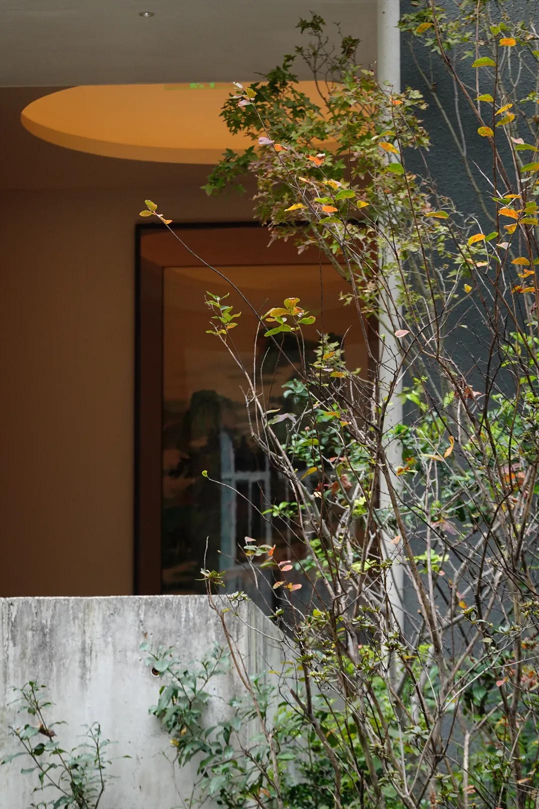 酒窖设计,建筑改造,景观设计,深圳国王酒窖茅台鉴藏馆,深圳,国王酒窖,茅台鉴藏馆,茅台酒窖,BloomDesign绽放设计